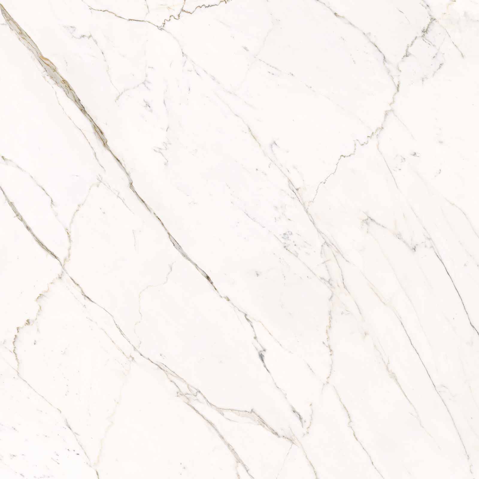 59A2 На пол Elements Lux Calacatta Statuarietto Lappato RT 120x120 - фото 2