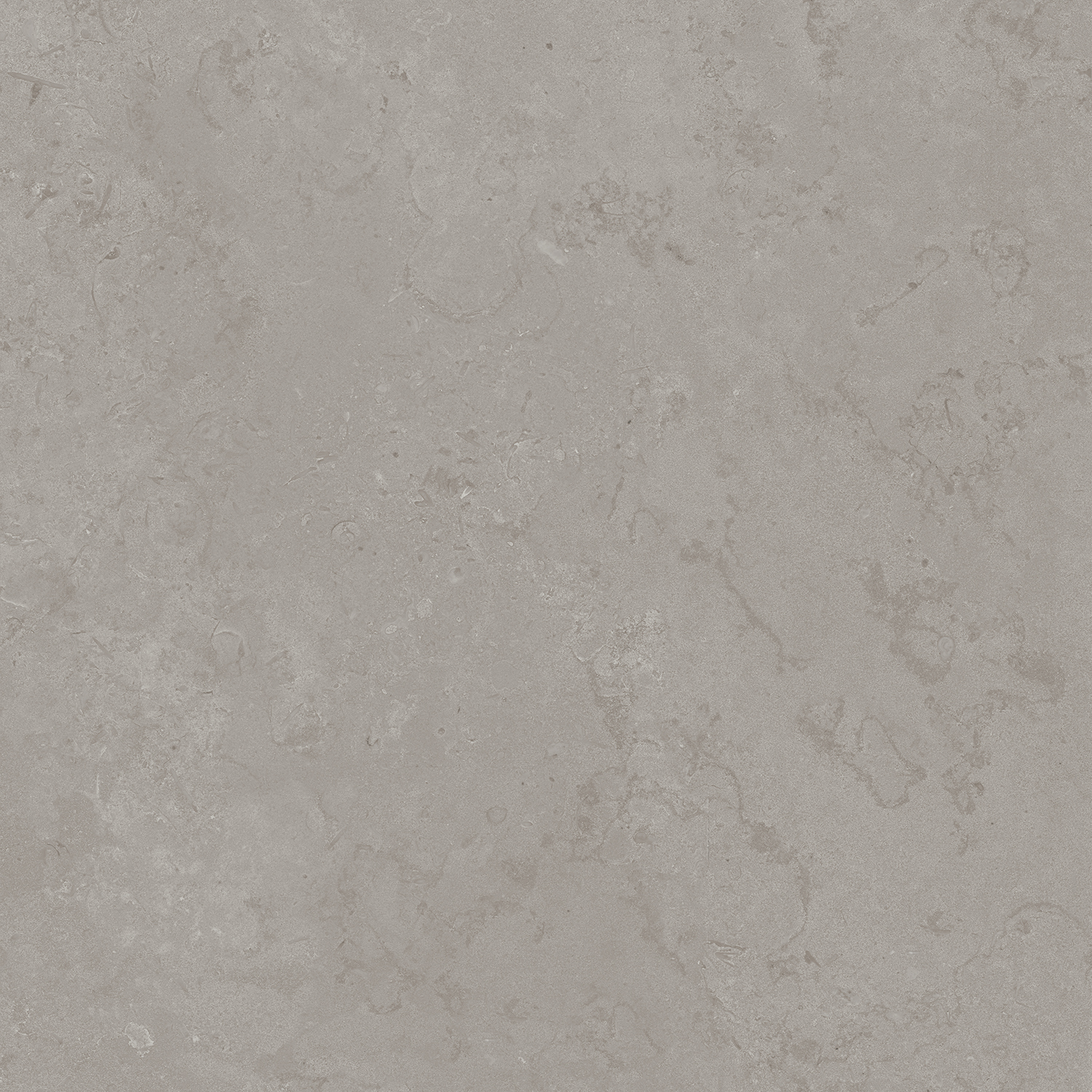 DD640900R На пол Про Лаймстоун Про Лаймстоун Серый Натуральный Обрезной 60х60 - фото 6