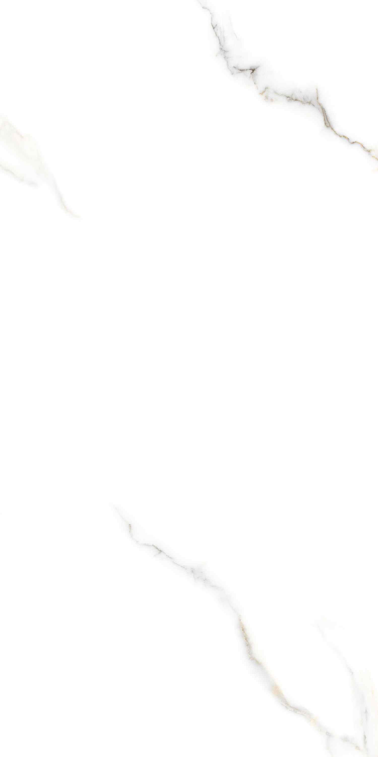 На пол Zoom Satuario Glossy 60х120 - фото 6