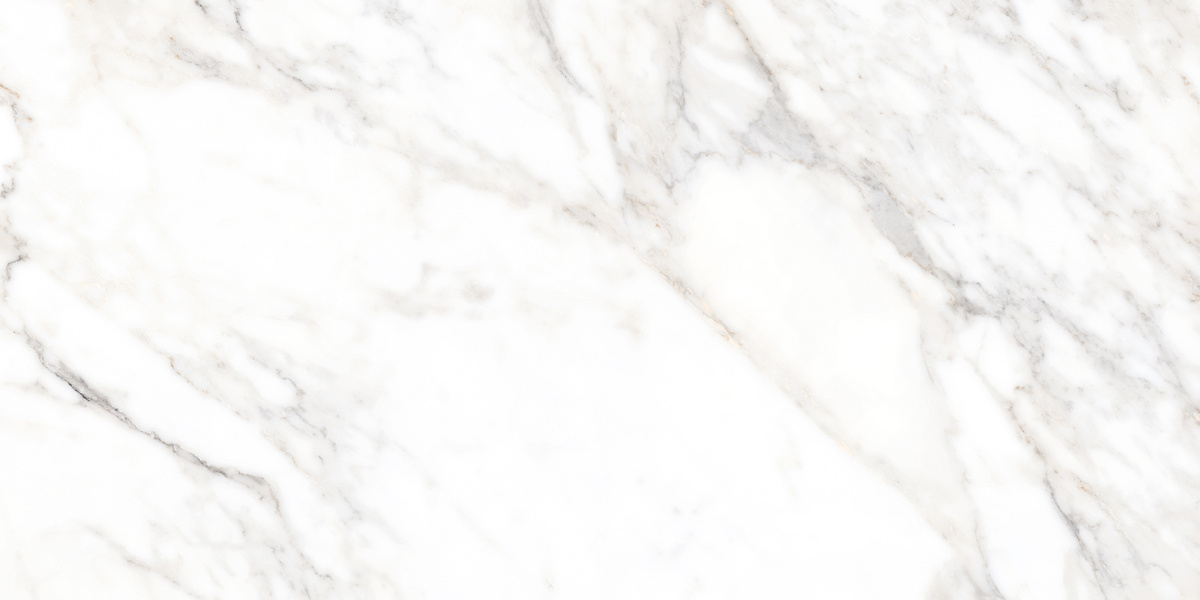 На пол Salm 80х160 Полированный - фото 3