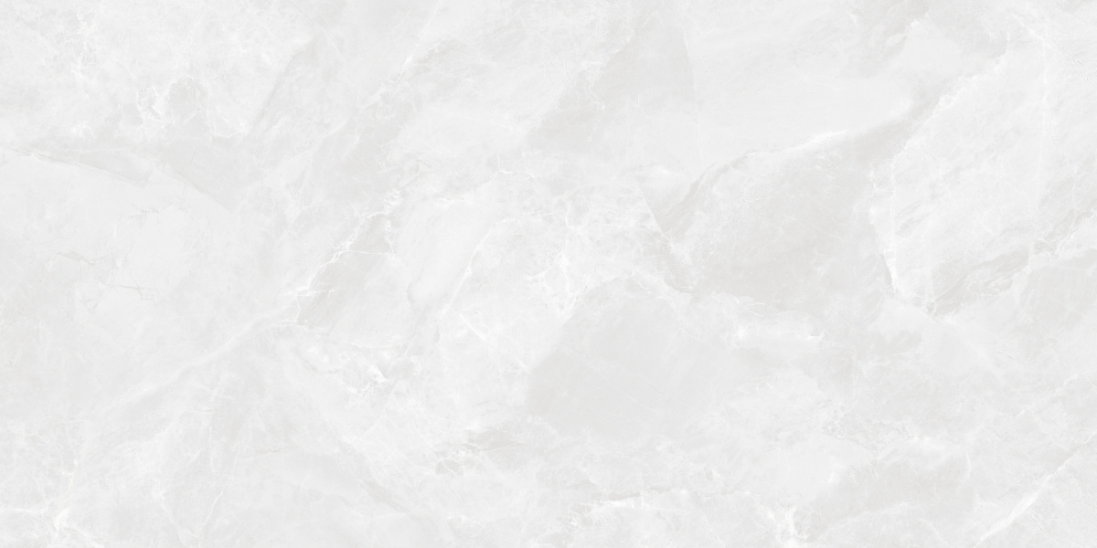 CR6012G0401R На пол Regnum Bianco светло-серый матовый 59.5х119.1