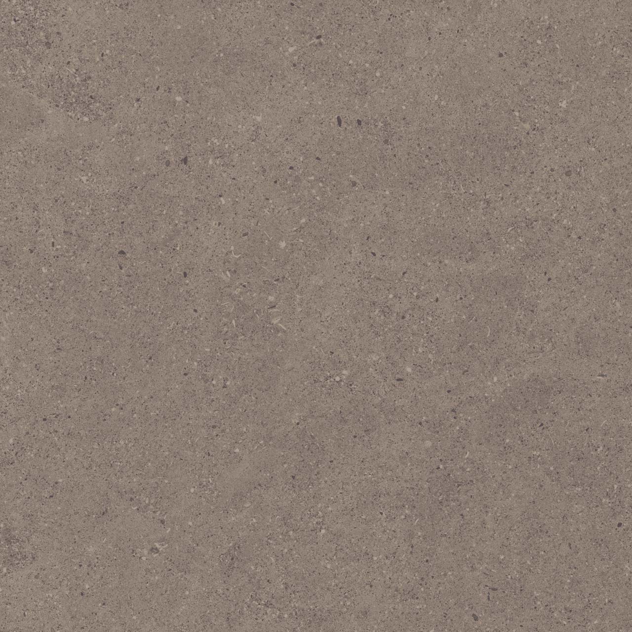 CE04/NR_R11/60x60x20R/GW На пол Спенс Темно-серый Структурированный Рект 60x60x20