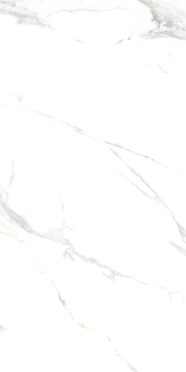 P15006.6 На пол Royal Marble White Polished Rect 60x120 - фото 2