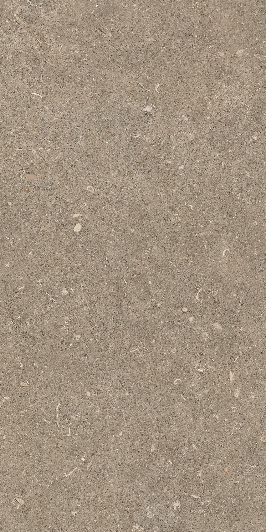 785490 На пол Rinascenza Arena Pietra Matte 30x60 - фото 9