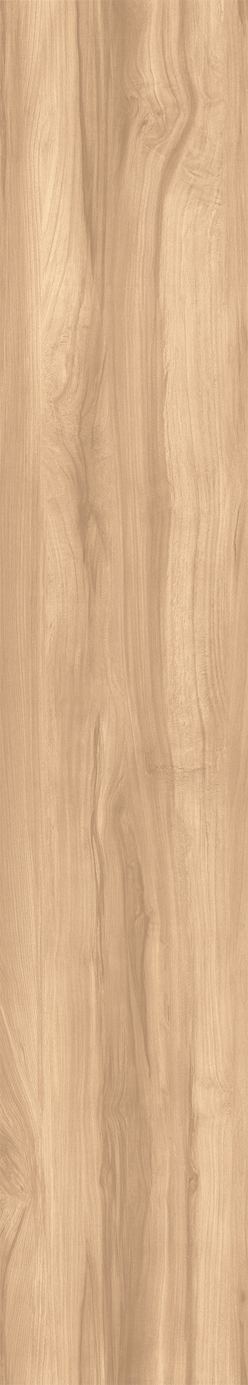 CW-RT09-B На пол Fossil Wood Brich Rustic 20x120