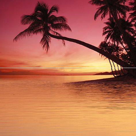 Панно Sunset Пальма из 2 плиток P2-2D278