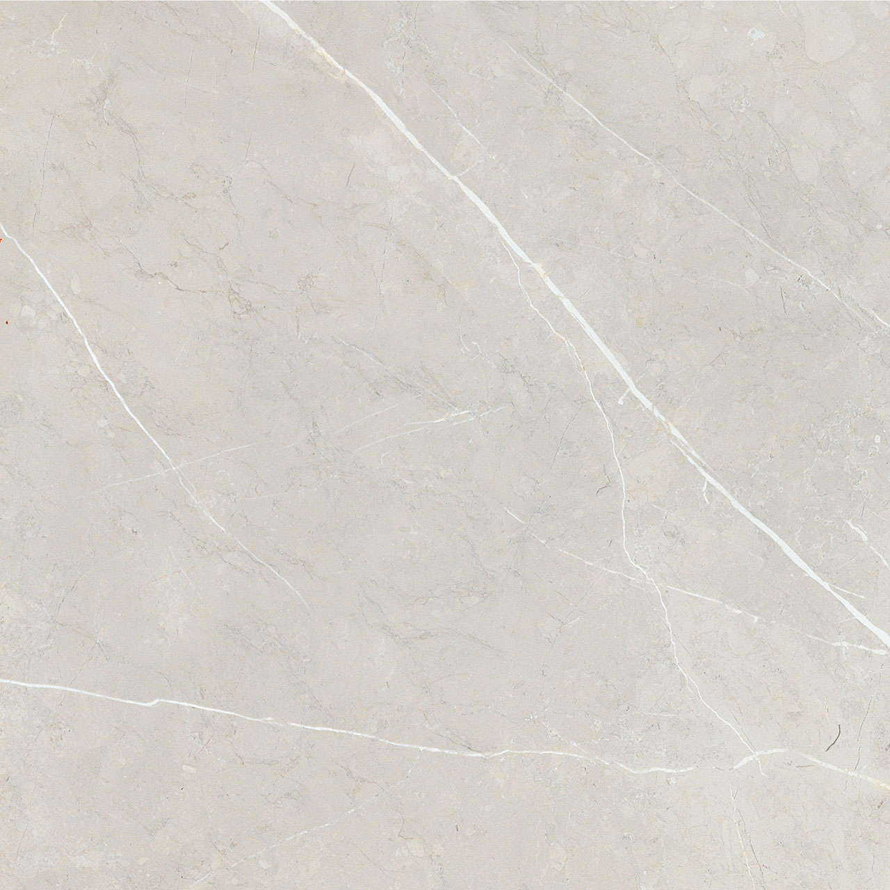 BB6NTT9101P На пол Bright And Shiny BB6NTT9101P - фото 20