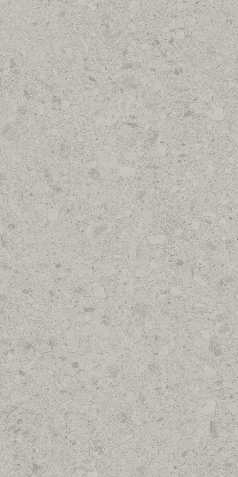 DD591220R На пол Чеппо ди Гре Серый светлый матовый обрезной 119.5x238.5x0.9 - фото 6