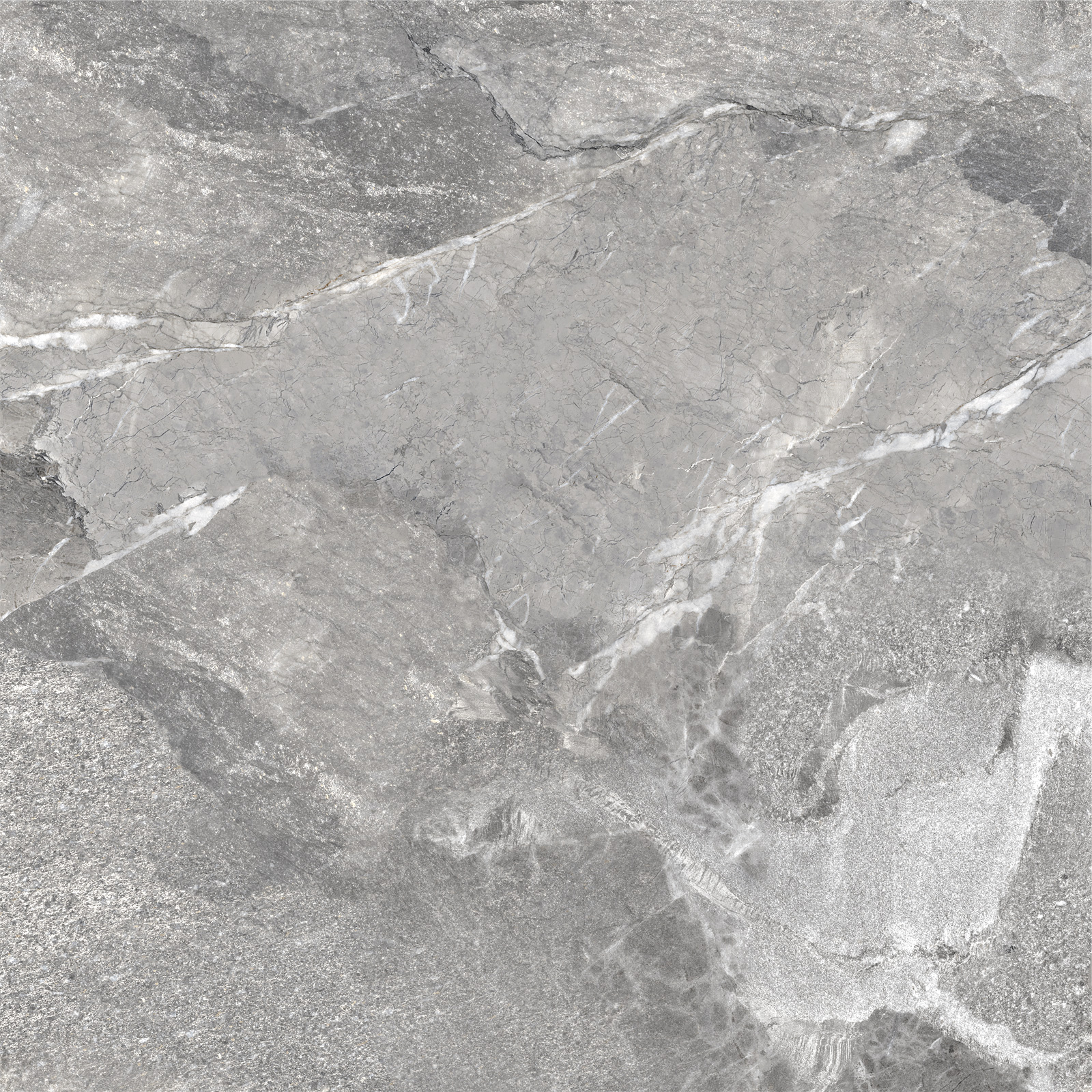 D60260M На пол Wild Dark матовый 600x600x9.5 - фото 9