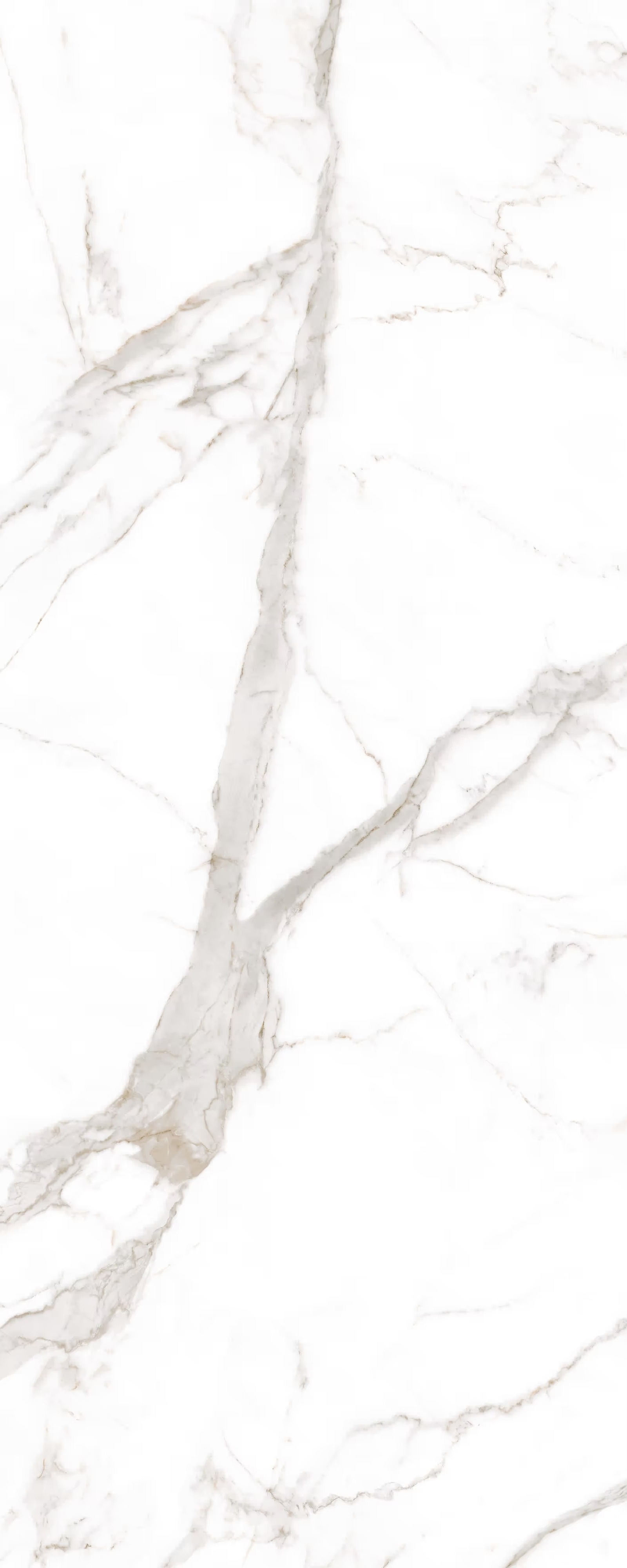 LAMFF01550_IT На пол I Naturali Marmi Calacatta Oro Venato Lucidato 5 1200x3000 - фото 3