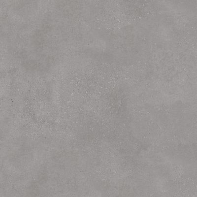 DAK81791 На пол Betonico Grey R10 80x80