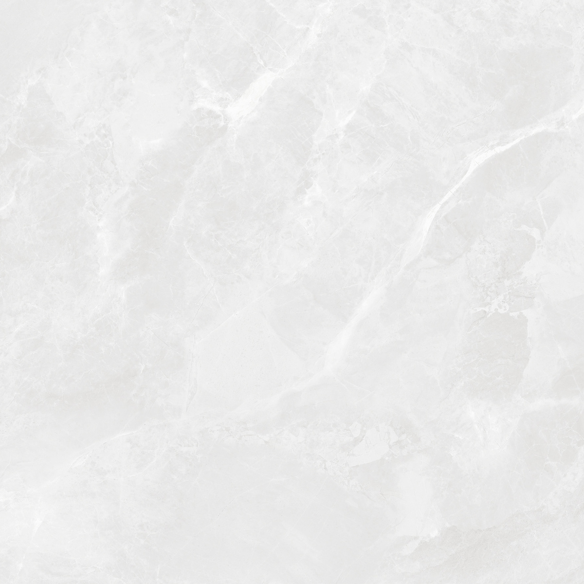 CR6060G0391R На пол Regnum Bianco светло-серый матовый 59.5х59.5 - фото 11