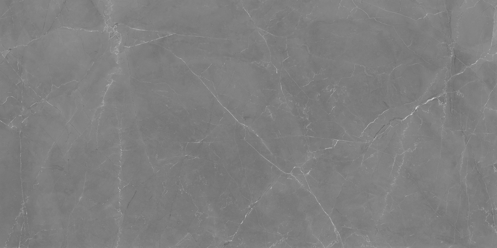 A17131 На пол Electric Mist Серый ректификат 60x120 - фото 4