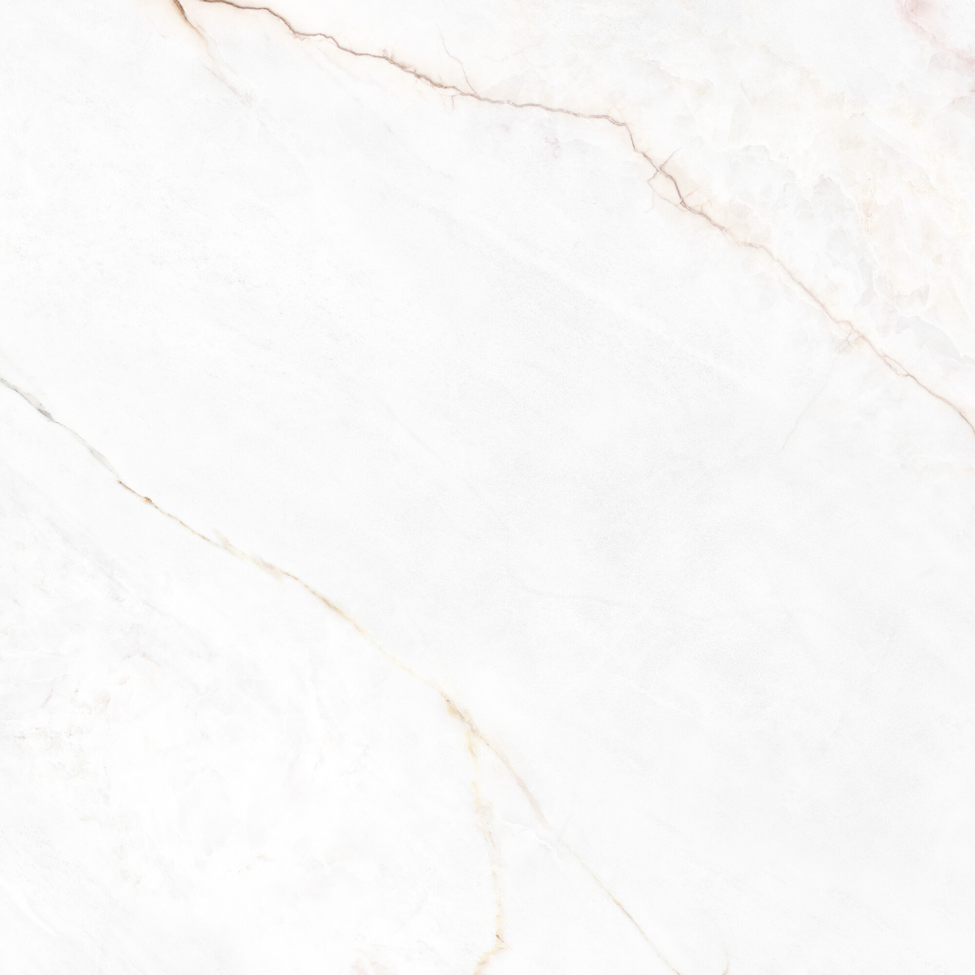 41431 На пол Museum Dahlia White SP/100X100X0.8/R 100x100 - фото 11