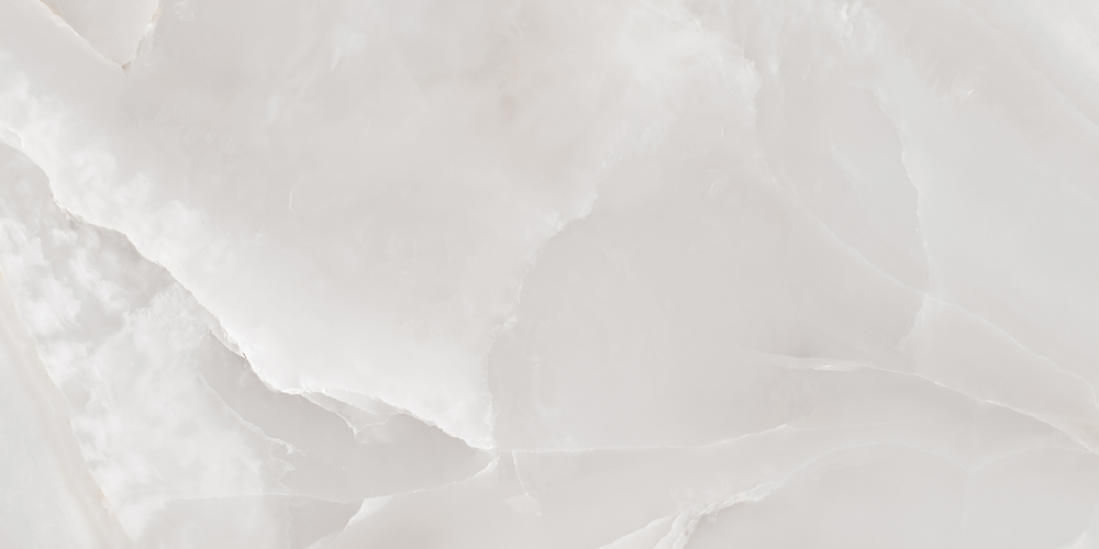 A17421 На пол Onio Полированный серый ректификат 60x120 - фото 2