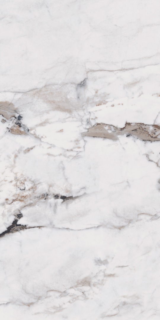 MOG103/PS_NC/60x120x9R/GW На пол Marble MOG103 White полированный 60x120 - фото 3