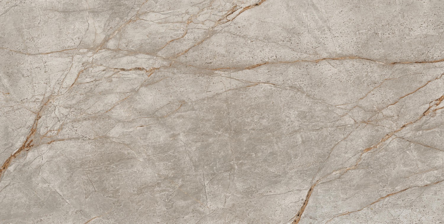 610015000603 На пол Empire Silver Root 80x160 Lapp - фото 5