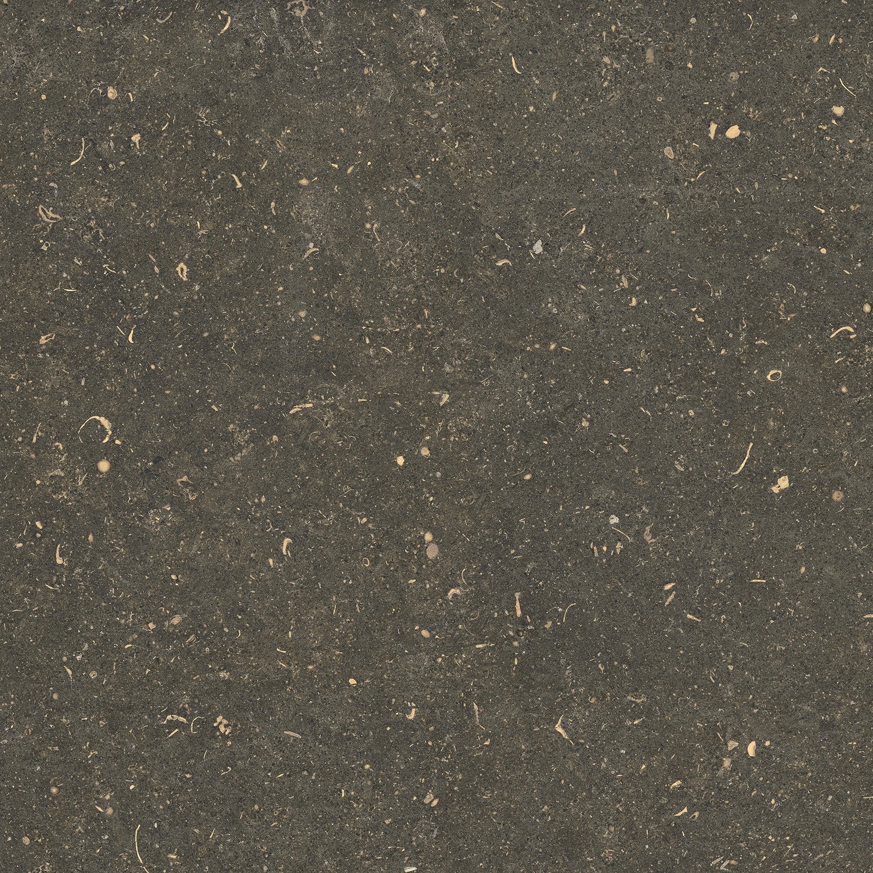 785499 На пол Rinascenza Arena Platino Grip 60x60 - фото 10