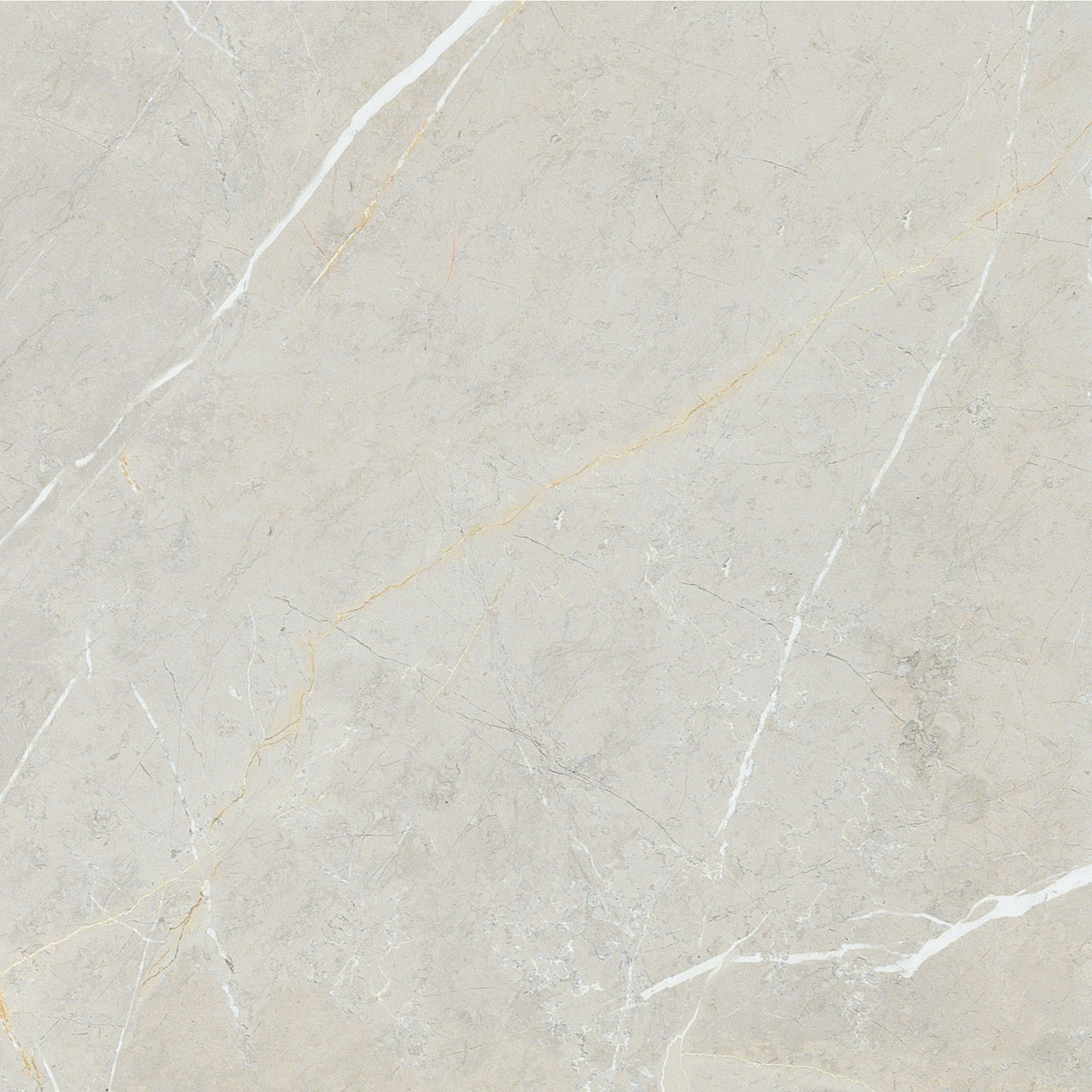 BB6NTT9101P На пол Bright And Shiny BB6NTT9101P - фото 4