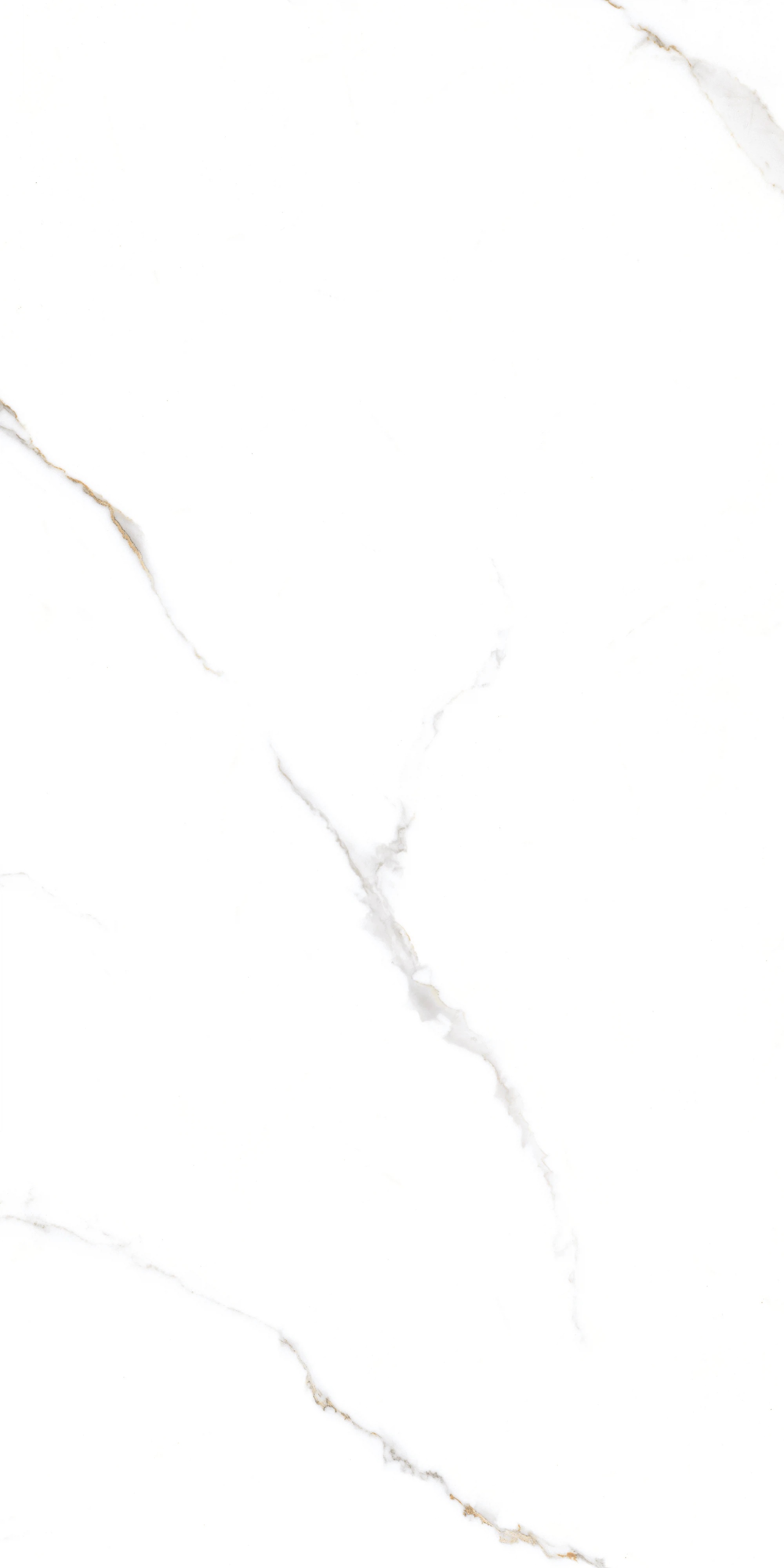 GT1206015103PR На пол Corus Белый полированный 60x120 - фото 6