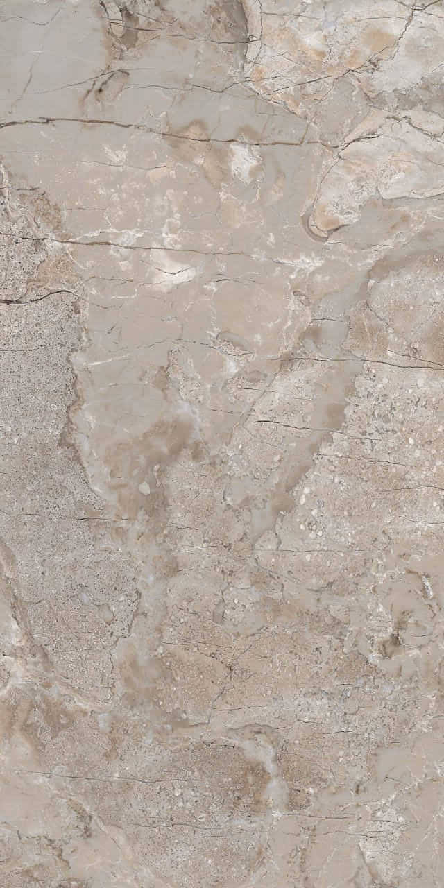 656 На пол Eco Marble 9mm Breccia Primavera 120x60 - фото 3