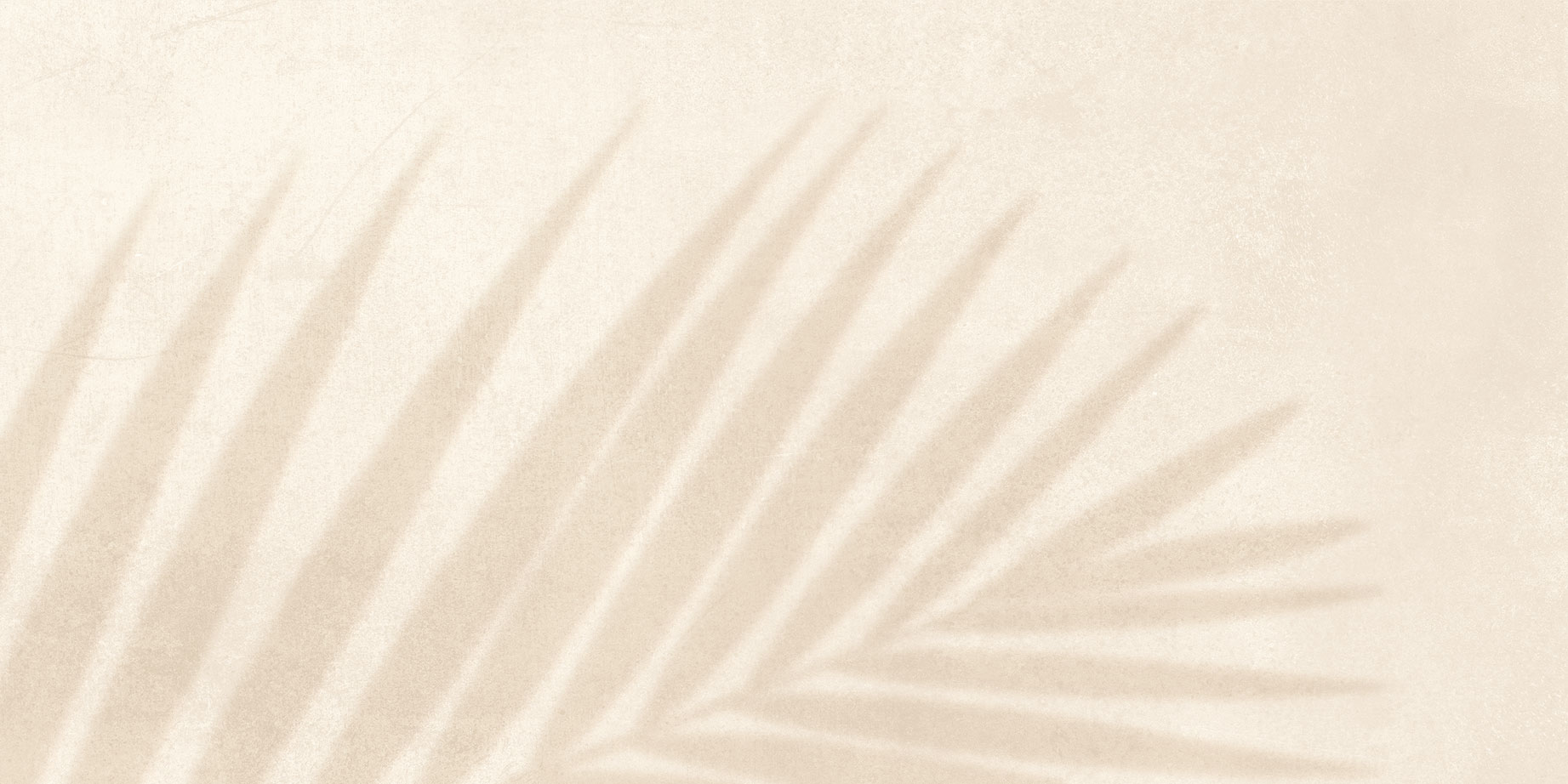 GT246VG На стену Dominica Бежевый пальма 30x60 - фото 8