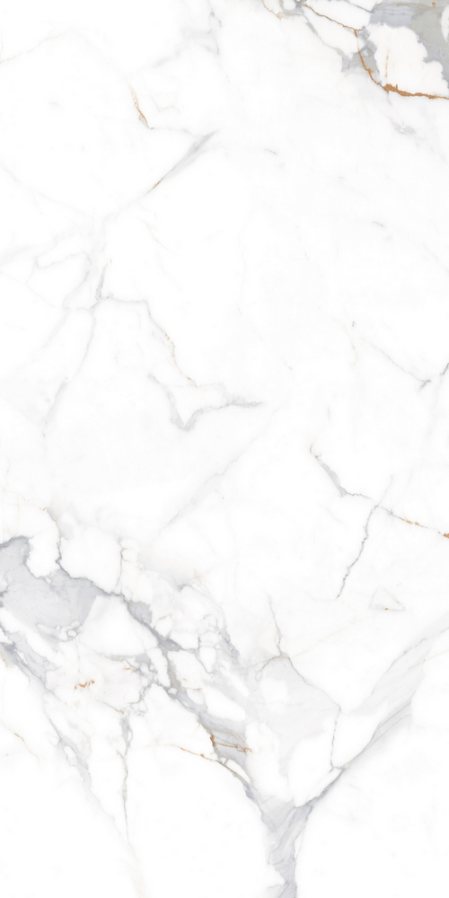 GT120606103PR На пол Calacatta Imperial Белый PR 60x120 - фото 4