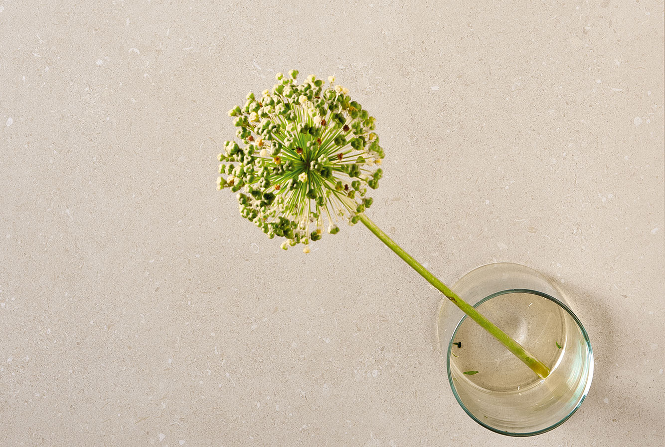 41ZERO42 Superclassica SCB - фото 7