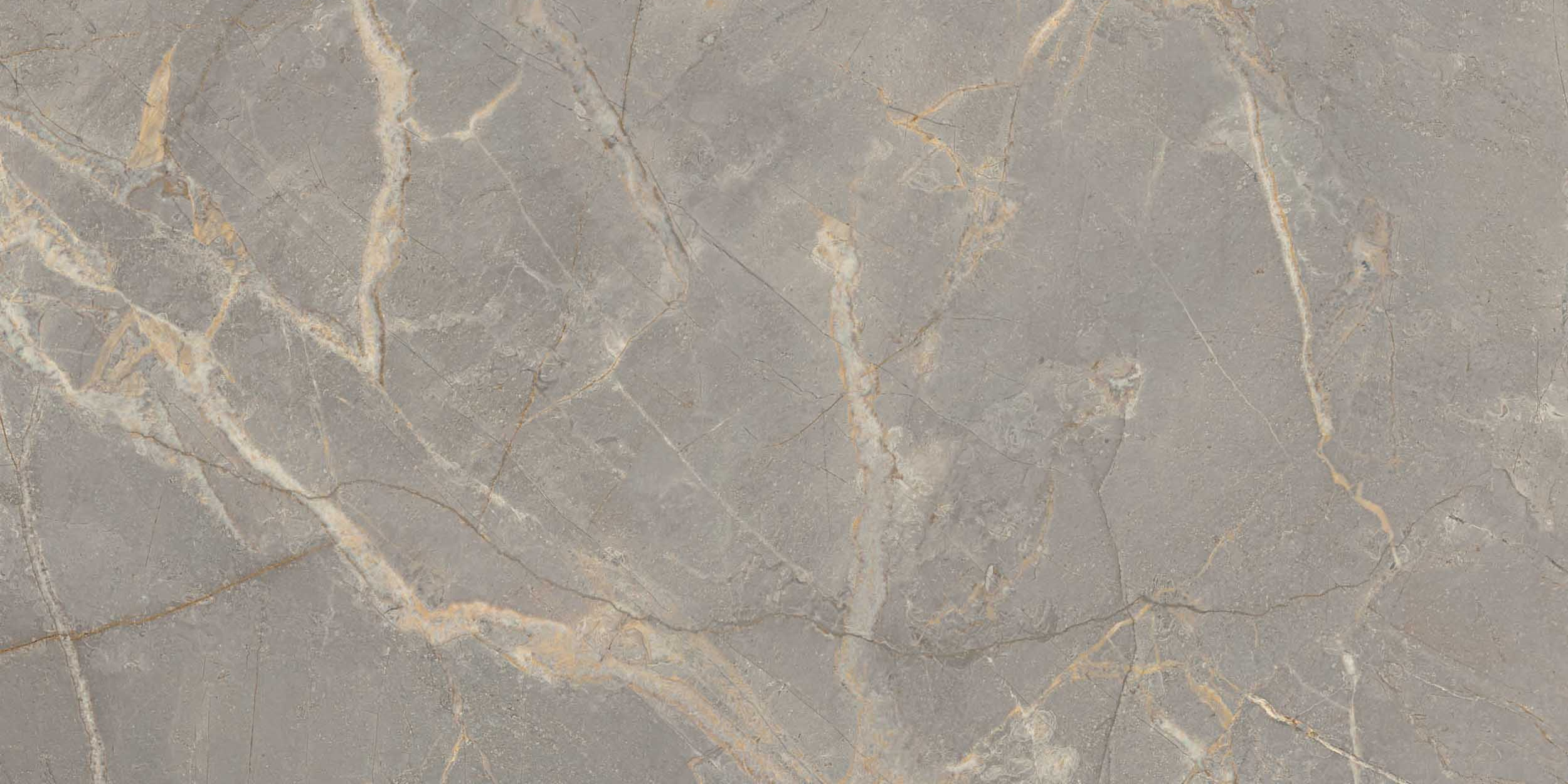 BR03/NS_NC/60x120x10R/GC На пол Bernini Grey BR03 120x60 Неполированный Ректификат - фото 9