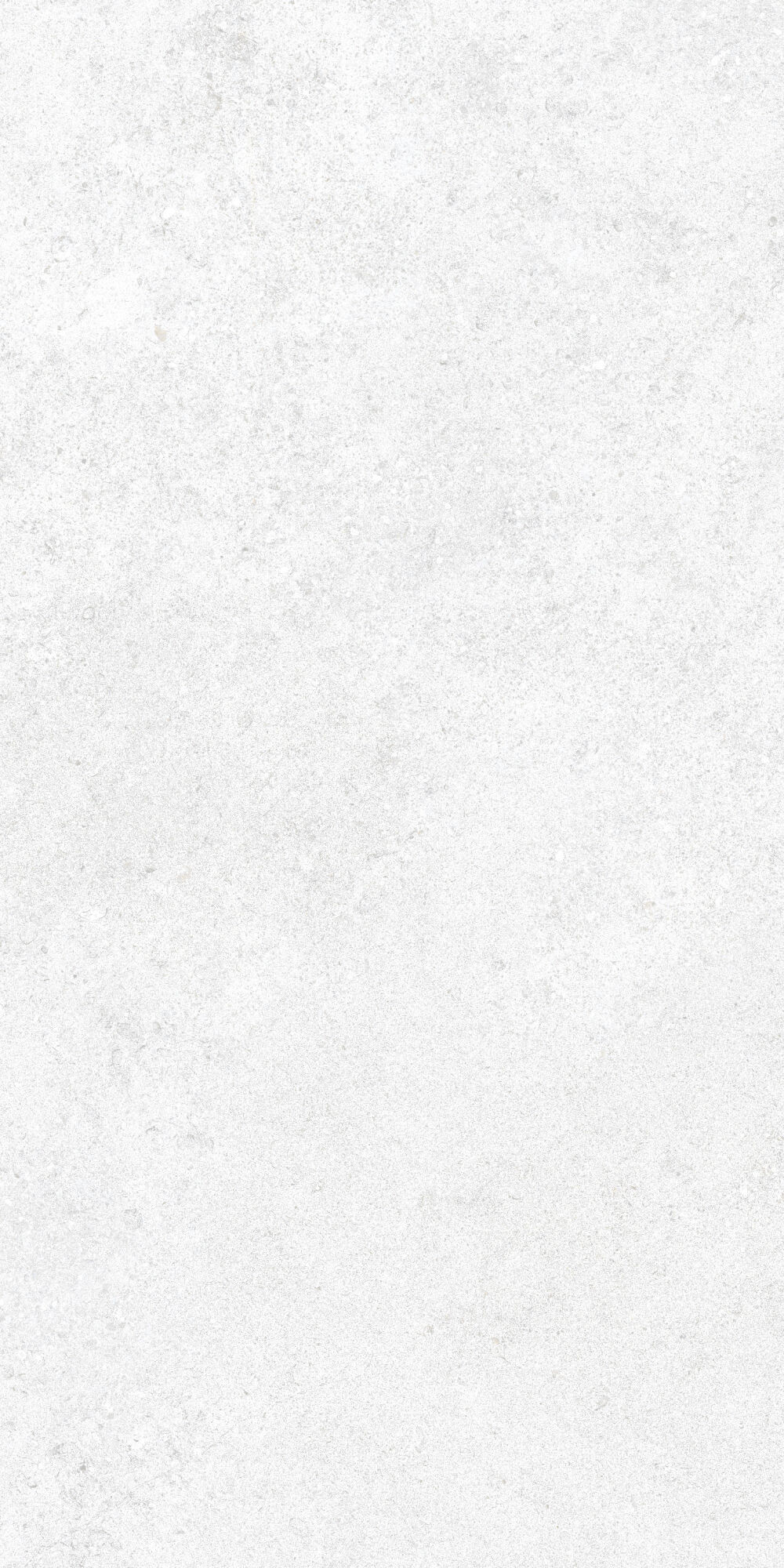 36905 На пол Cluny White 4D/50X100X2/A/R 50x100 - фото 10