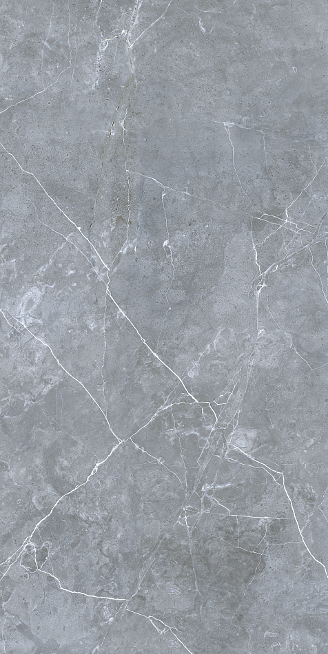 GRS02-12 На пол Petra Northen Silver 120x60 - фото 2