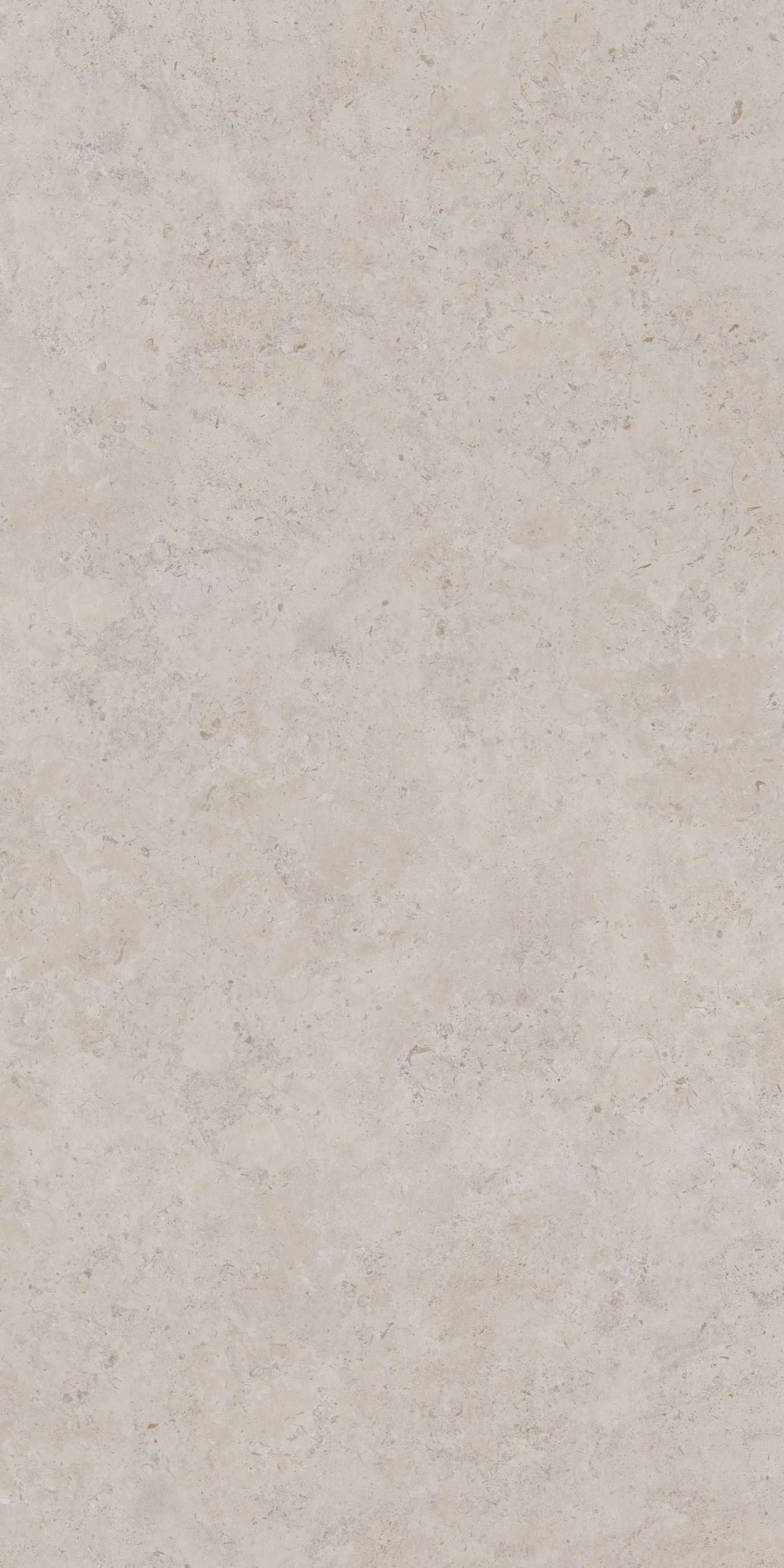 DD590400R На пол Про Лаймстоун Ат Бежевый Натуральный Обрезной 119.5х238.5 - фото 2