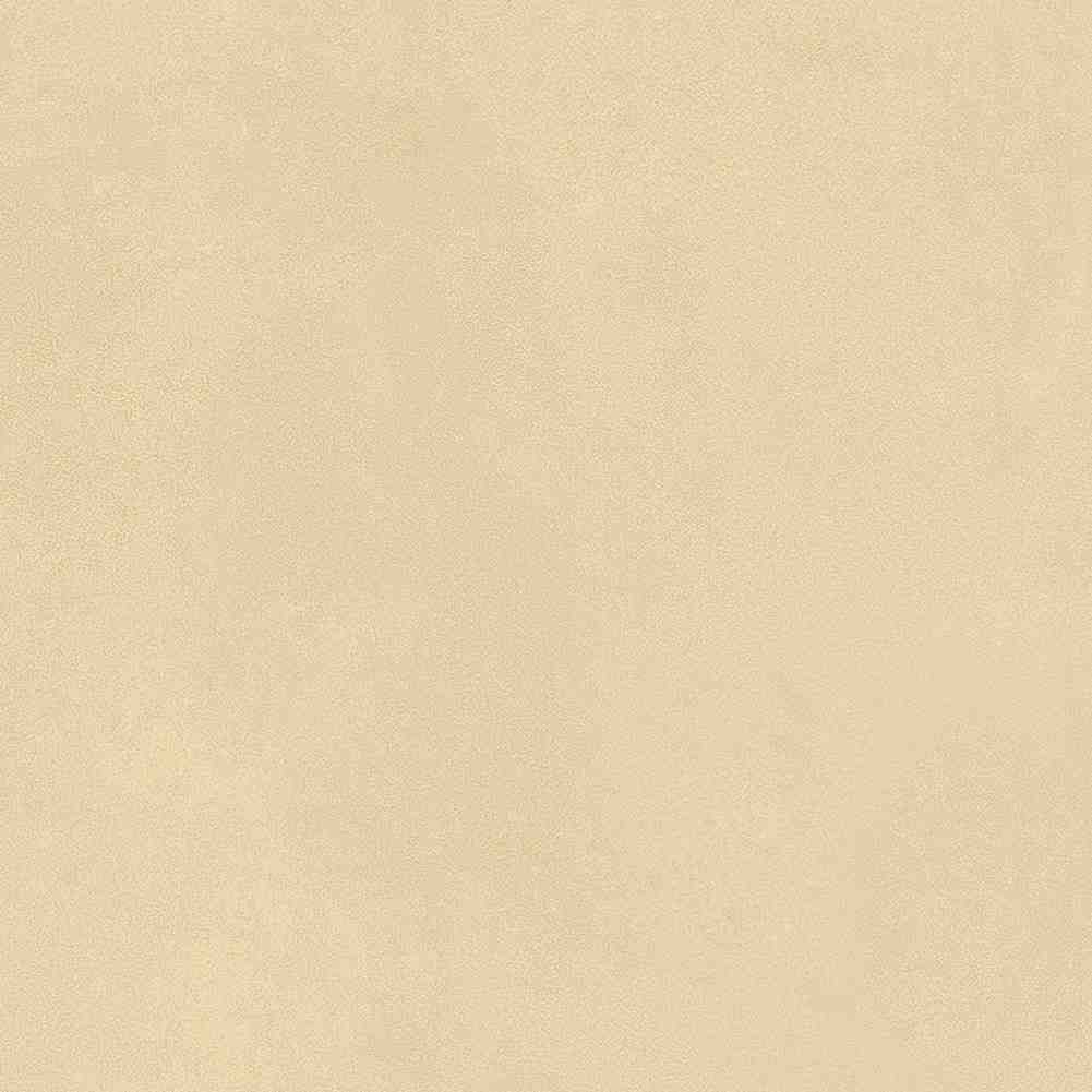 ENCLR6079MT2020 На пол Levels Avorio Matt 200х200х8 - фото 18