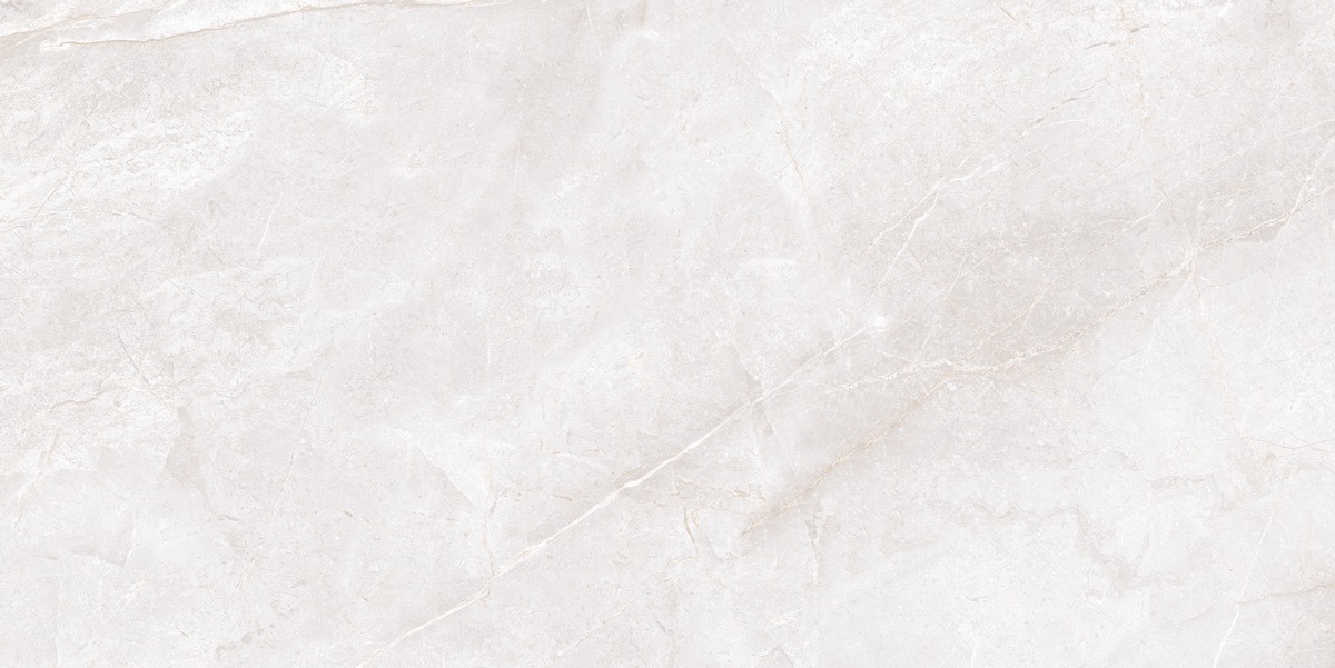 N20646 На пол Marble Marmi Bianco Matt 60x120 - фото 4