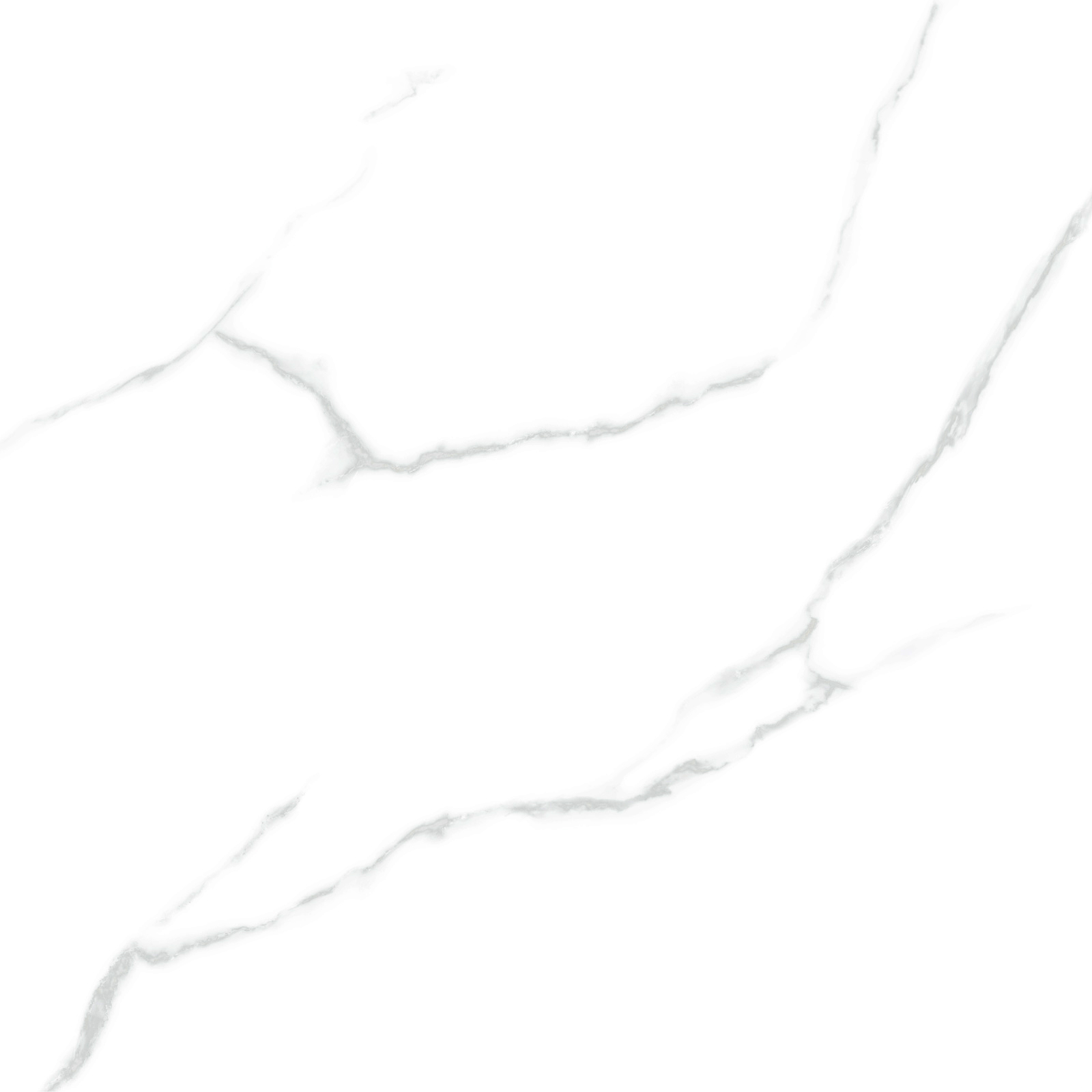 6060AMR00P На пол Atlantic Marble White 60 - фото 12