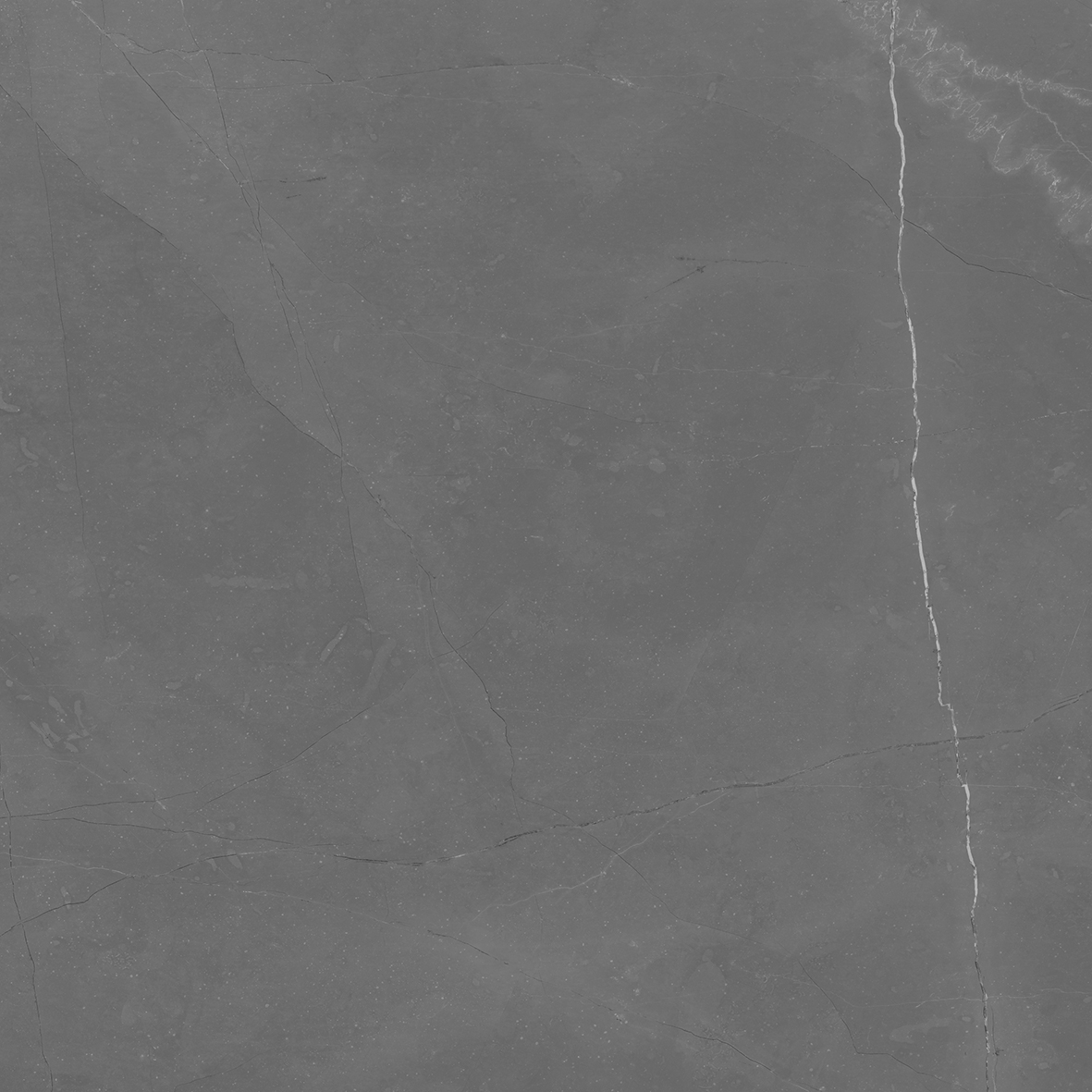 LM 0069 На пол Lima Серый 60х60 - фото 4