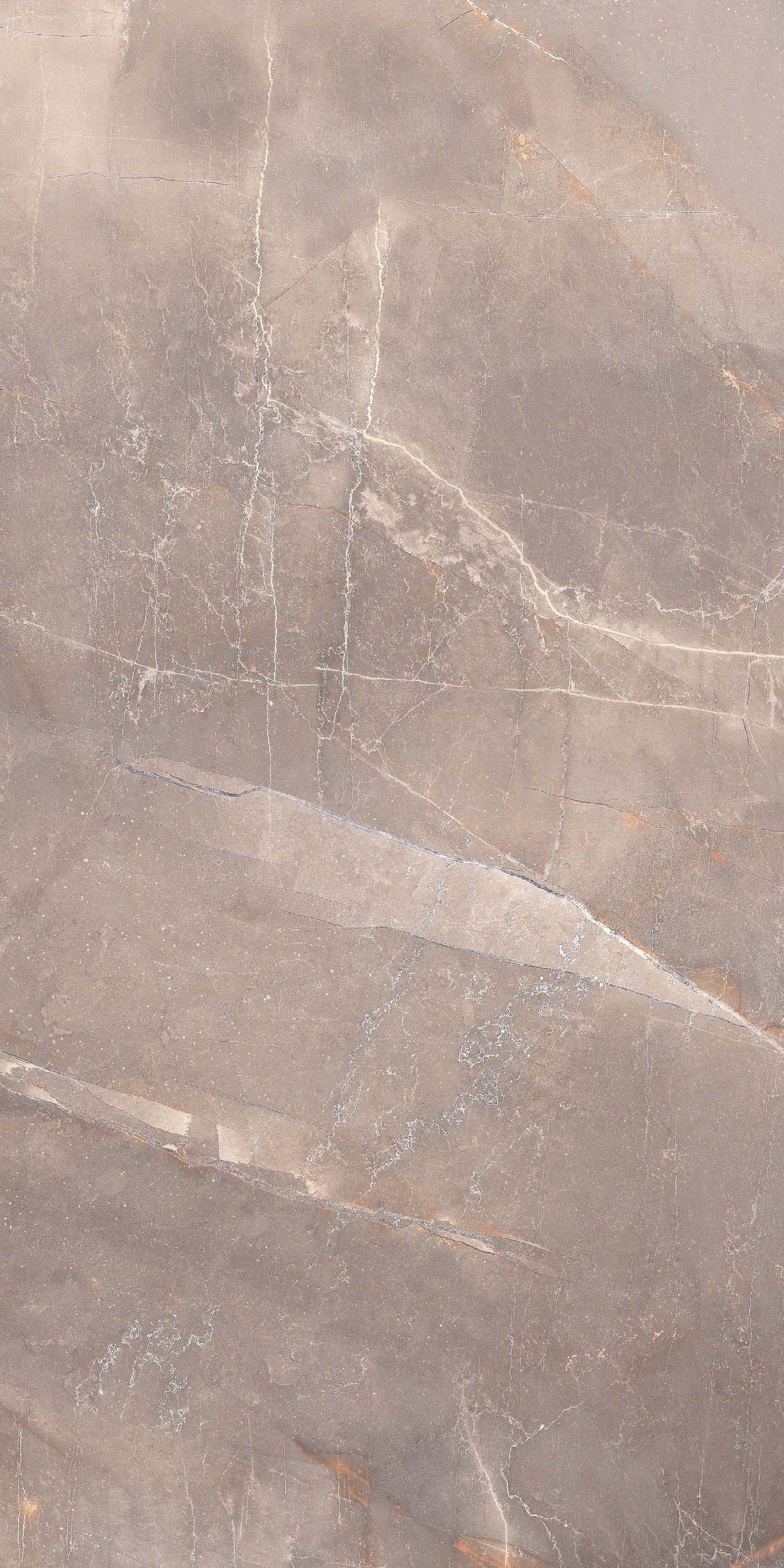 На пол Glossy Grand Puplis Choco Glossy - фото 2