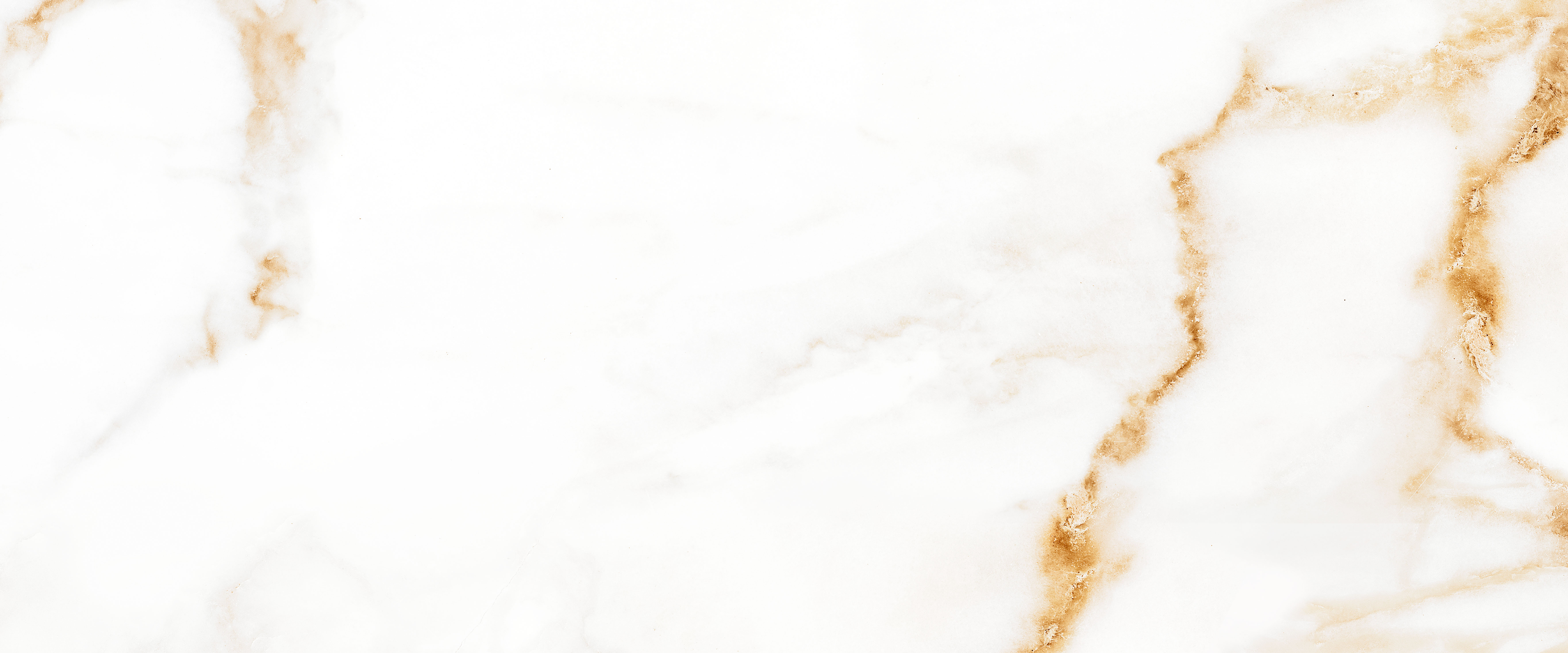 010100001521 На стену Joy White белый 01 25x60