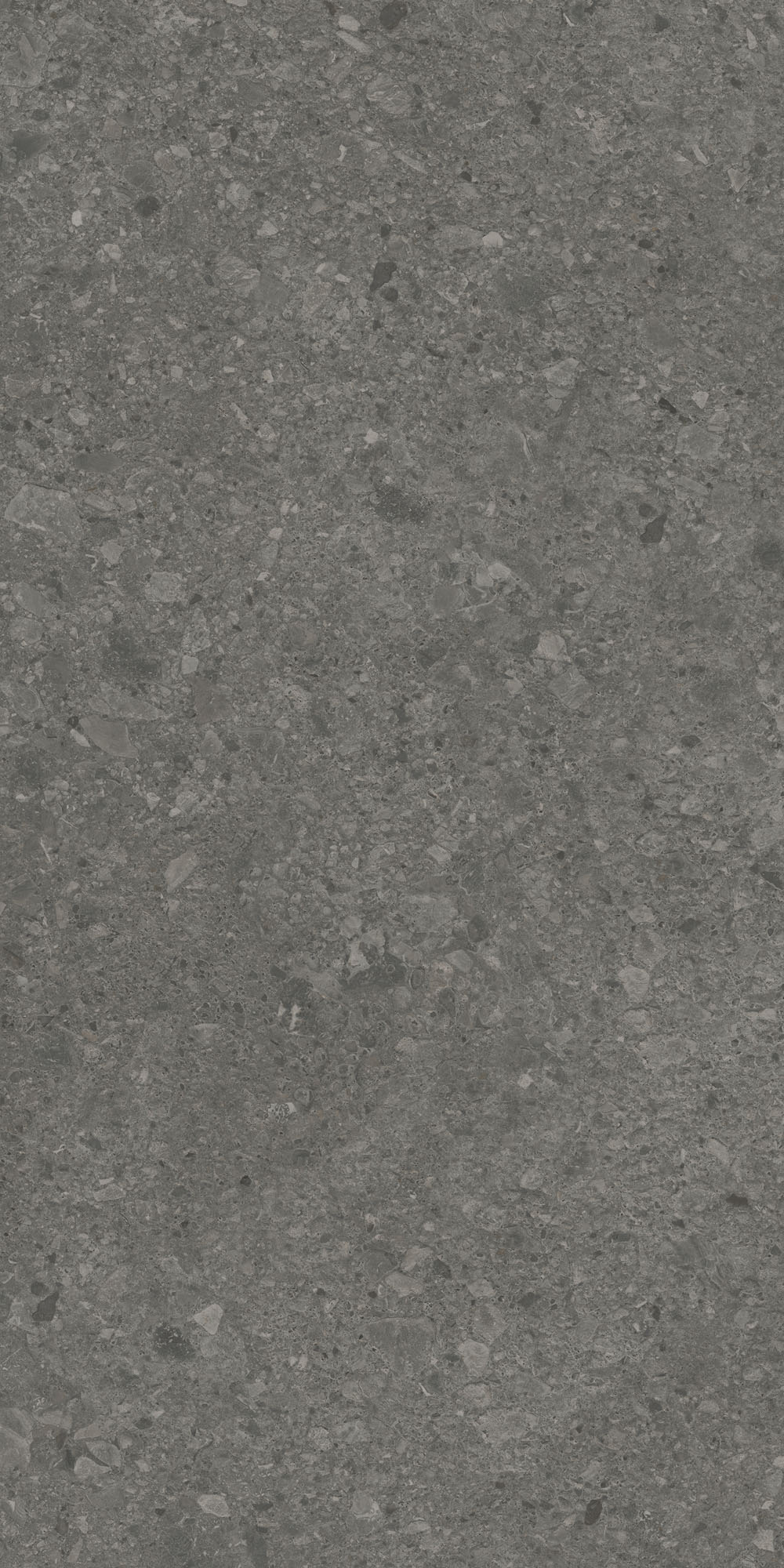 DD591620R На пол Чеппо ди Гре Антрацит матовый обрезной 119.5x238.5x0.9 - фото 3