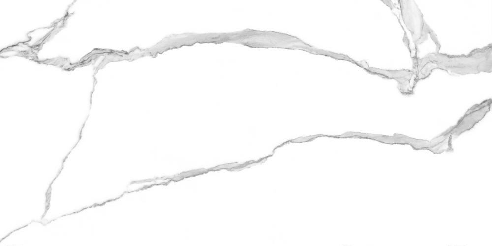 GT120601503PR На пол Anima Белый полированный 60x120 - фото 7