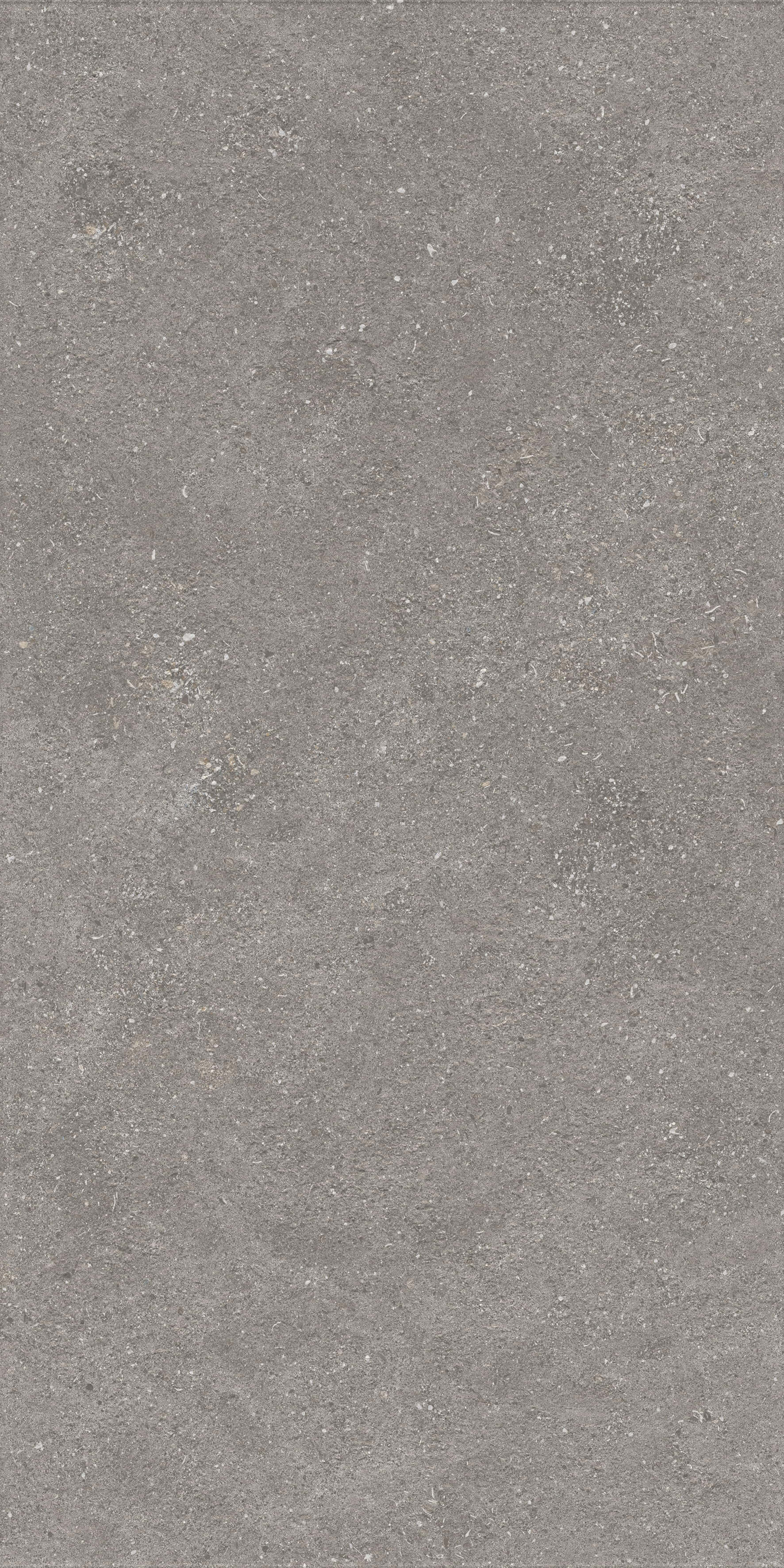 1224 На пол Stone Graniti Grey Matt Ghr 120x60 - фото 3