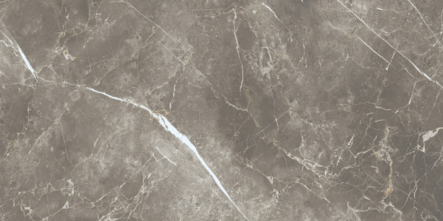 ECC2 На пол Elements Lux Persian Grey Silk RT 60x120 - фото 14