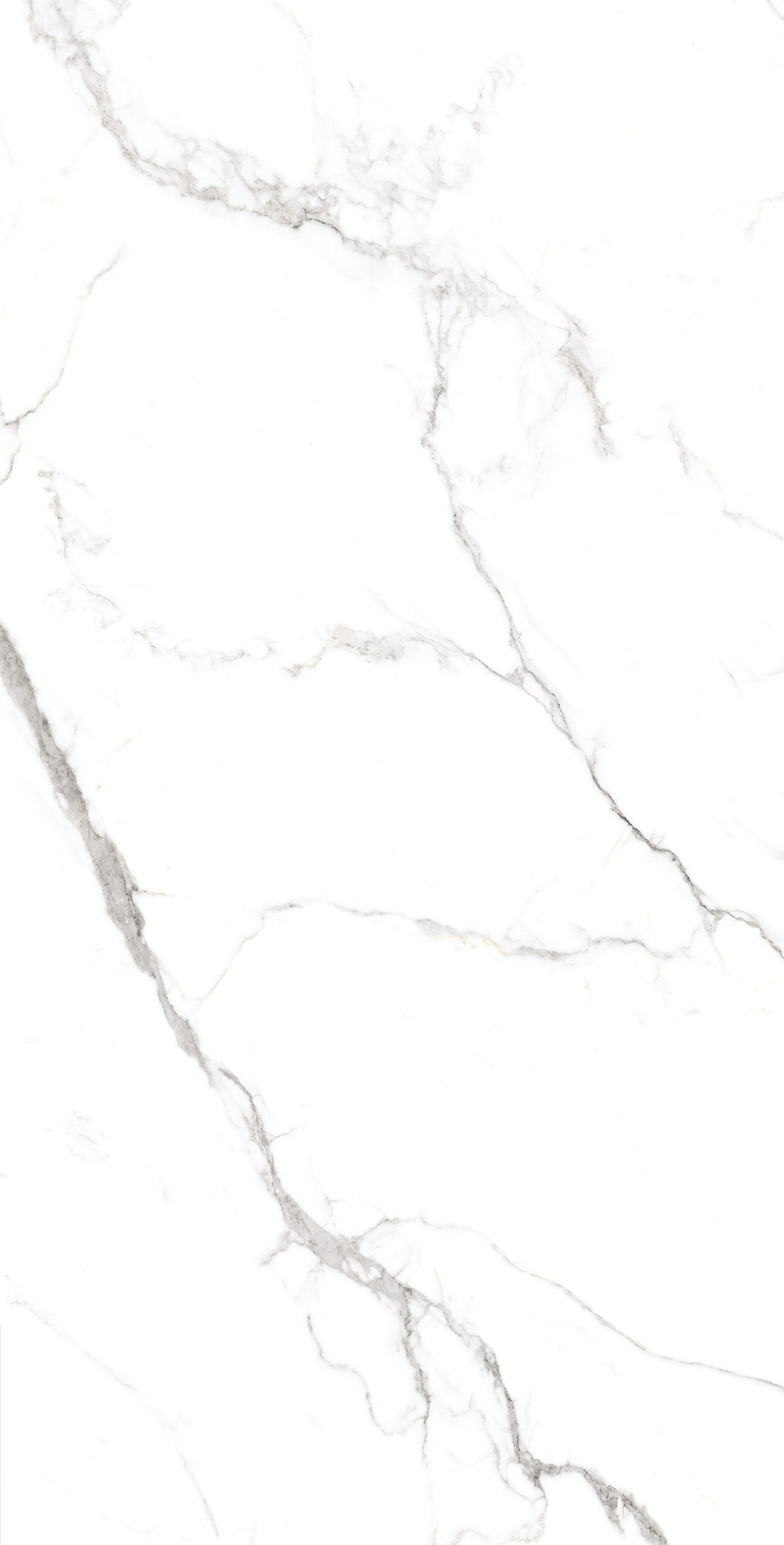 FP1039-A На пол Statuario Fine Full Polished 60x120 - фото 6