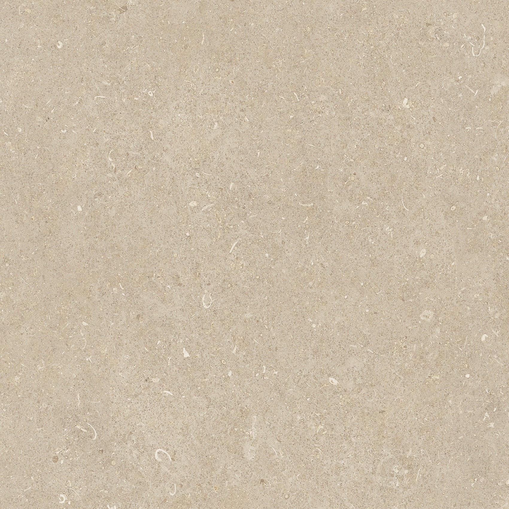 785485 На пол Rinascenza Arena Conchiglia Matte 60x60 - фото 5