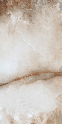 52104 На пол Ajmer Gold 60x120 - фото 6