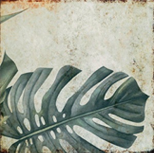 TR3333 На пол Natural Series Tropic 33х33 - фото 9