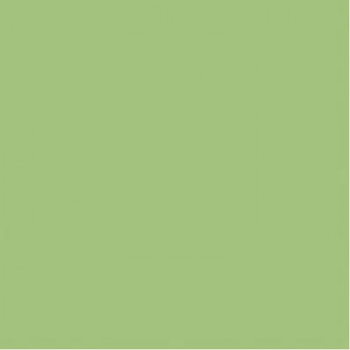 WAA1N465 Настенная Color One Light green mat 20х20