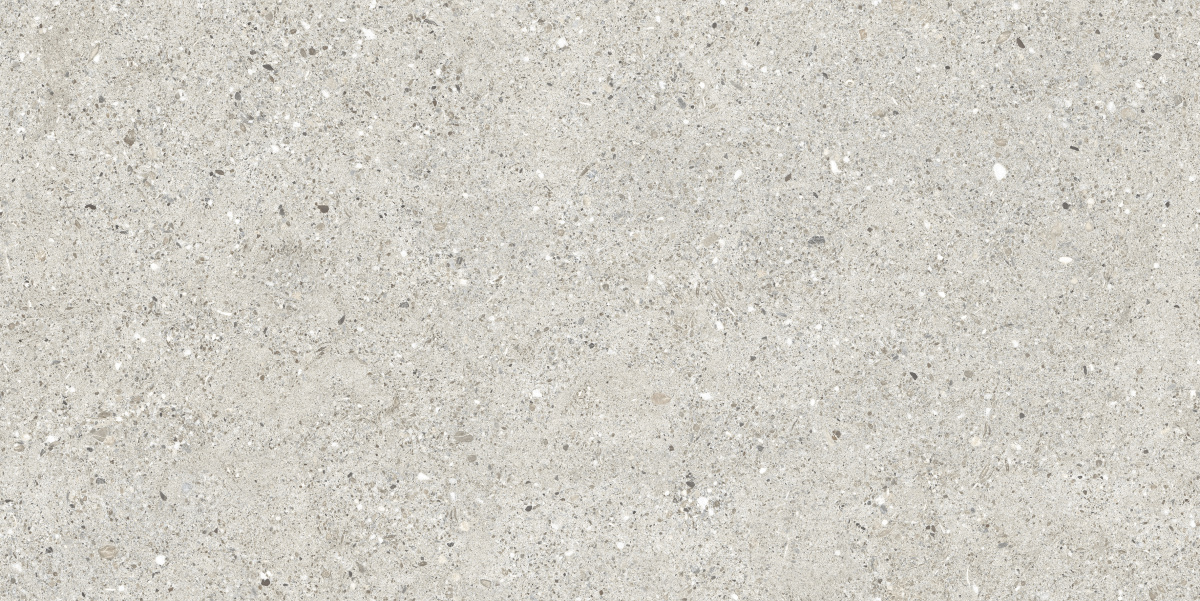 CR6012G0471R На пол Granito Grigio серый матовый 59.5х119.1 - фото 4