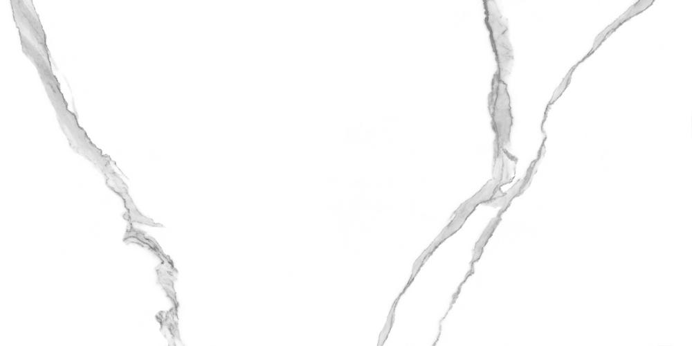 GT120601503PR На пол Anima Белый полированный 60x120 - фото 6