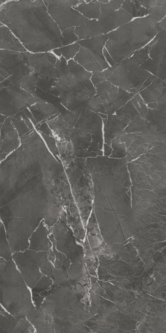 GT1206019809MHRR На пол Oscar Темно-серый матовый 60x120 - фото 10